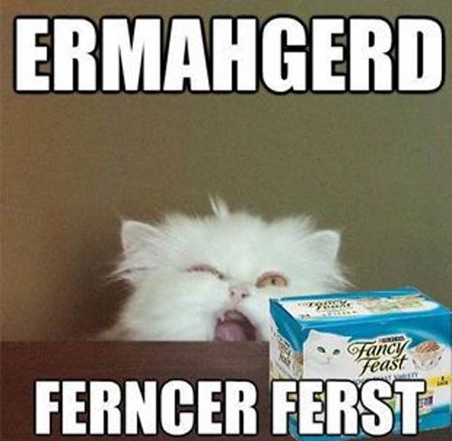A fluffy white cat with its mouth wide open in an exaggerated expression, positioned behind a wooden surface next to a box…