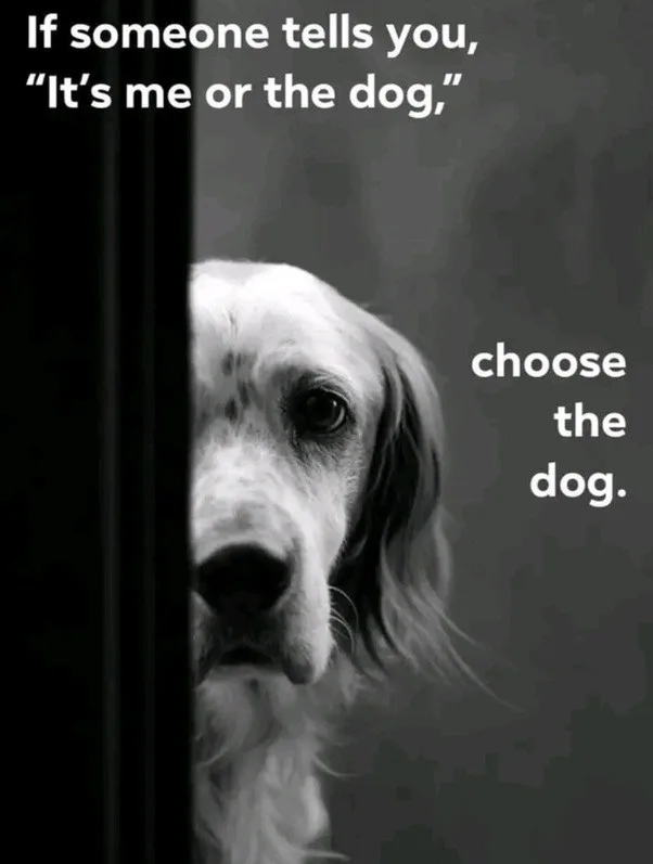 A black and white photo shows a long-haired dog peeking around a dark vertical barrier, looking directly at the viewer with…