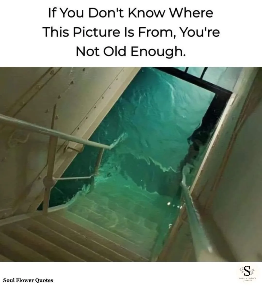 A downward-looking photo shows a staircase descending into greenish water, with metal railings and a wooden structure…
