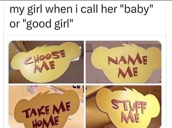 Four yellow teddy bear-shaped signs with red text are displayed in a grid. Each sign reads: 'CHOOSE ME', 'NAME ME', 'TAKE ME…