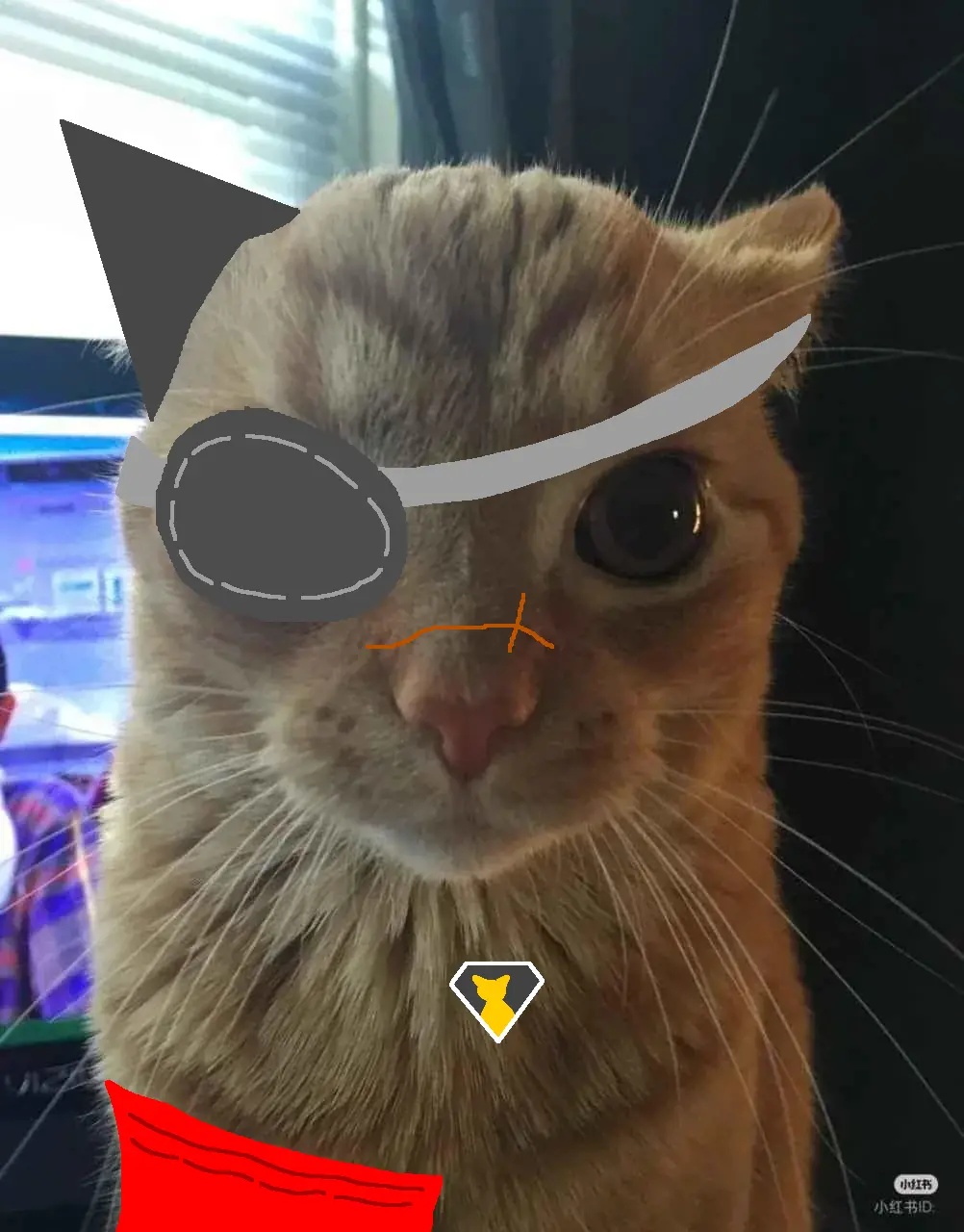 A close-up photo of an orange tabby cat with digitally added pirate accessories: a black eyepatch over its left eye, a black…