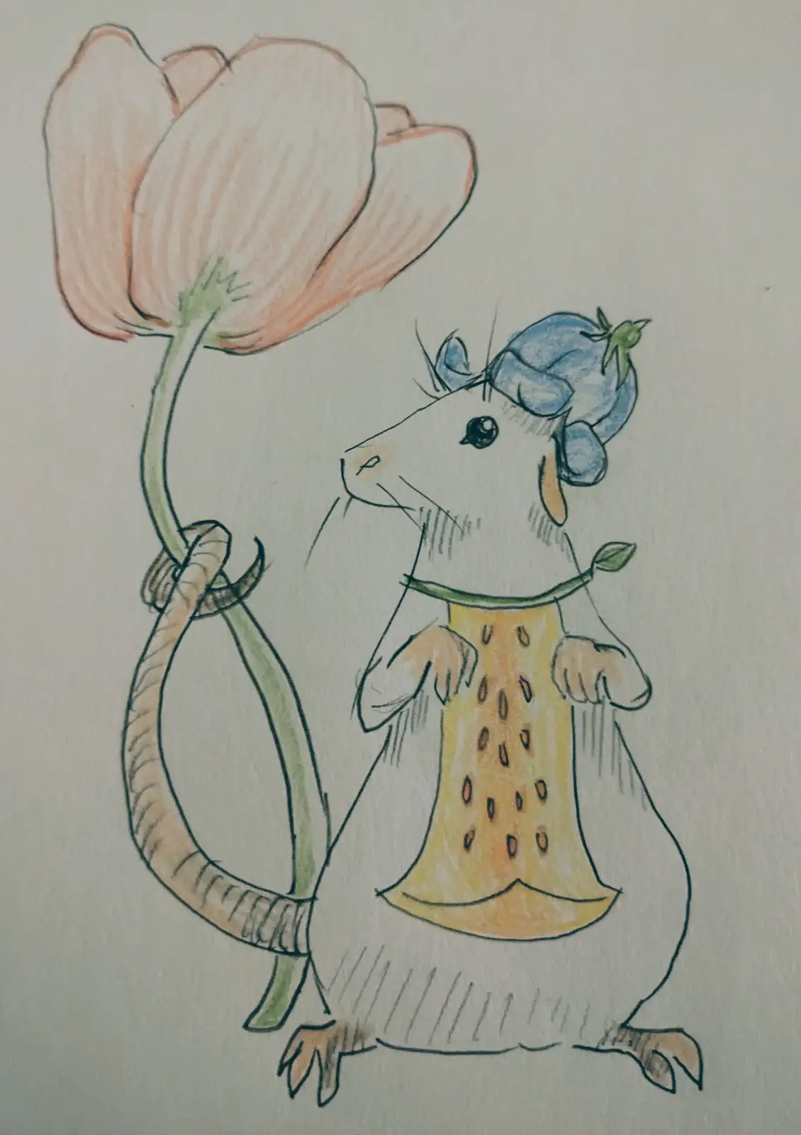 Daily Sketches for a Healthier Mind