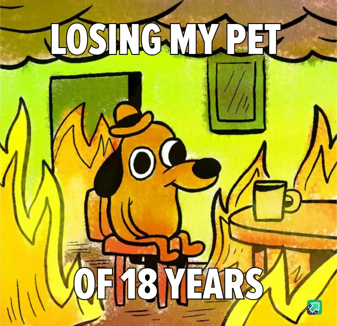 A cartoon dog wearing a hat sits calmly in a room engulfed in flames, with text overlaid reading 'LOSING MY PET OF 18…