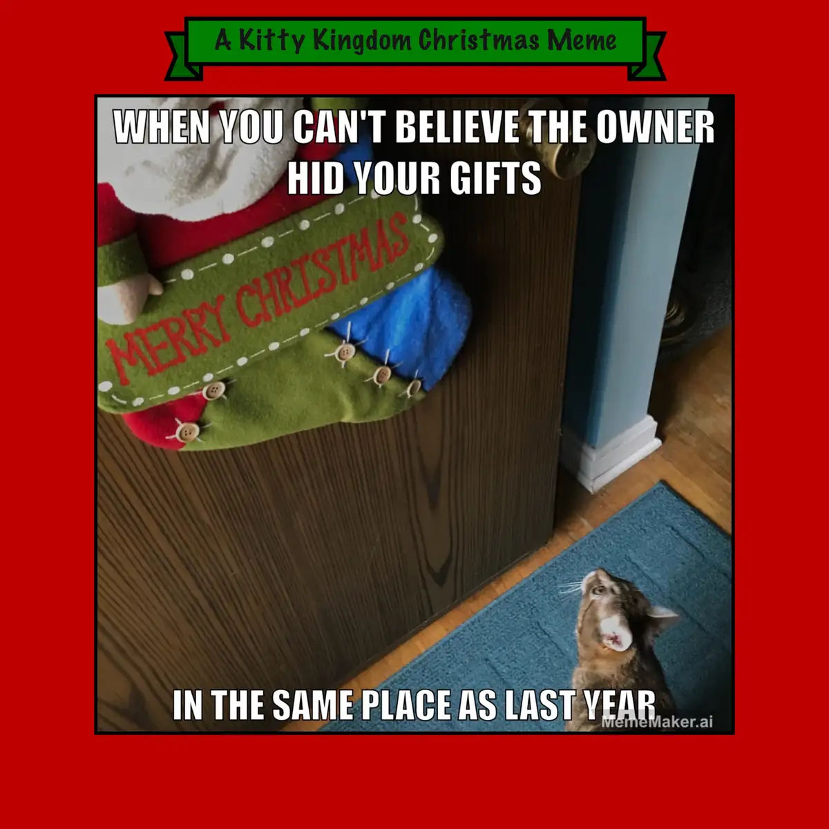 A cat looks up in shock at a Christmas stocking hanging on a door, with text overlaying the image that reads 'WHEN YOU CAN'T…