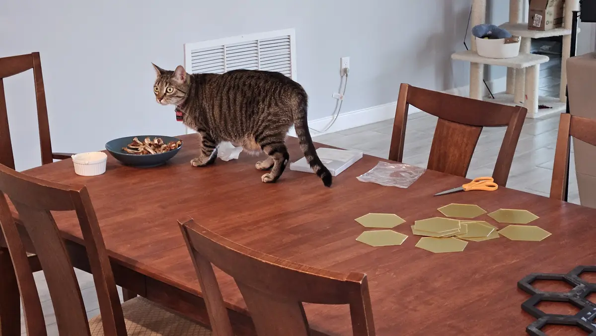 The classic sight of a cat claiming its territory on the table.