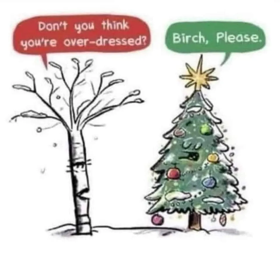 A cartoon drawing shows a bare, snow-dusted birch tree with a face asking, 'Don't you think you're over-dressed?' while…