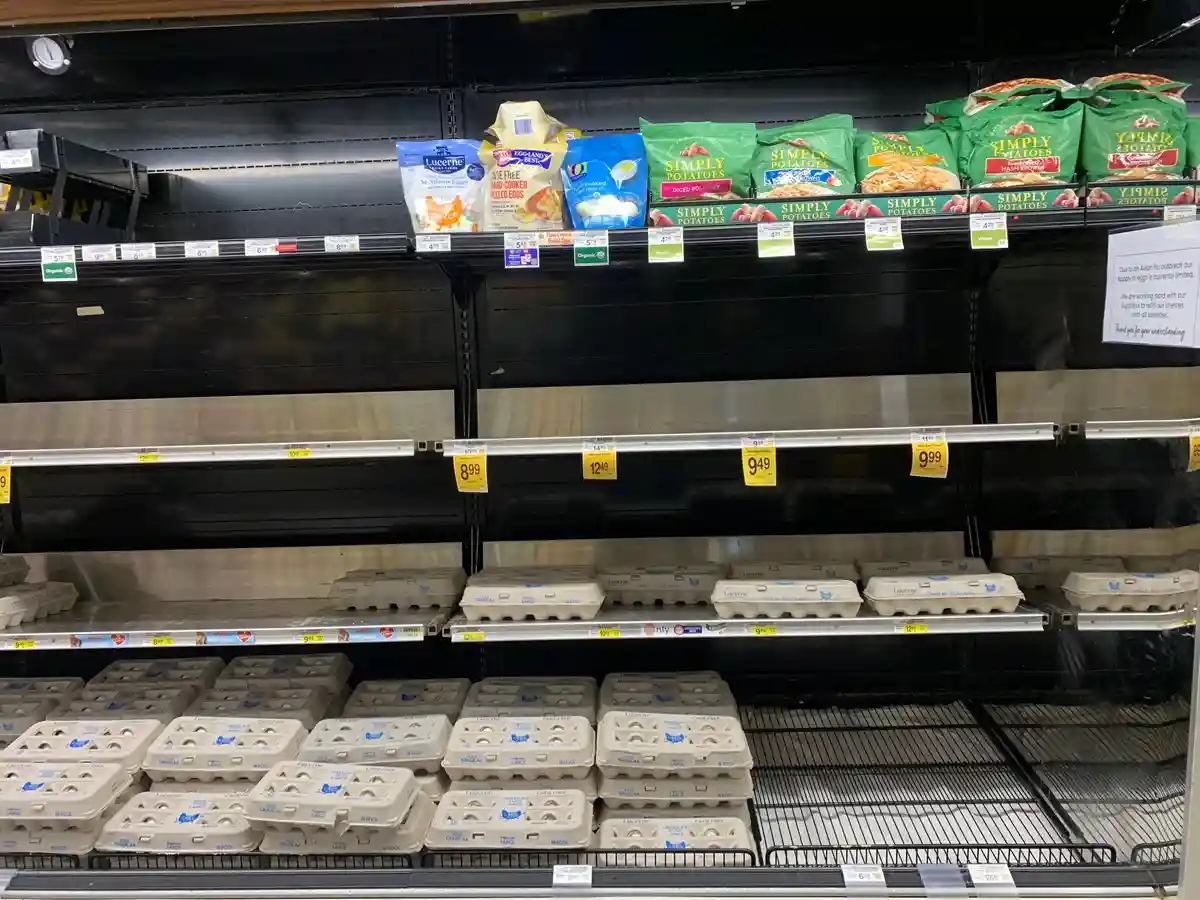 A supermarket egg aisle is mostly empty, with only a few cartons of eggs remaining on the bottom shelves. The top shelf has…