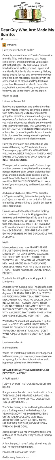 An illustrated burrito is sliced open to reveal distinct, separated zones of ingredients like guacamole, rice, beans, meat…