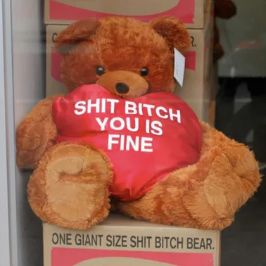 A large brown teddy bear is displayed in a store window, holding a red heart that reads 'SHIT BITCH YOU IS FINE'. Below the…