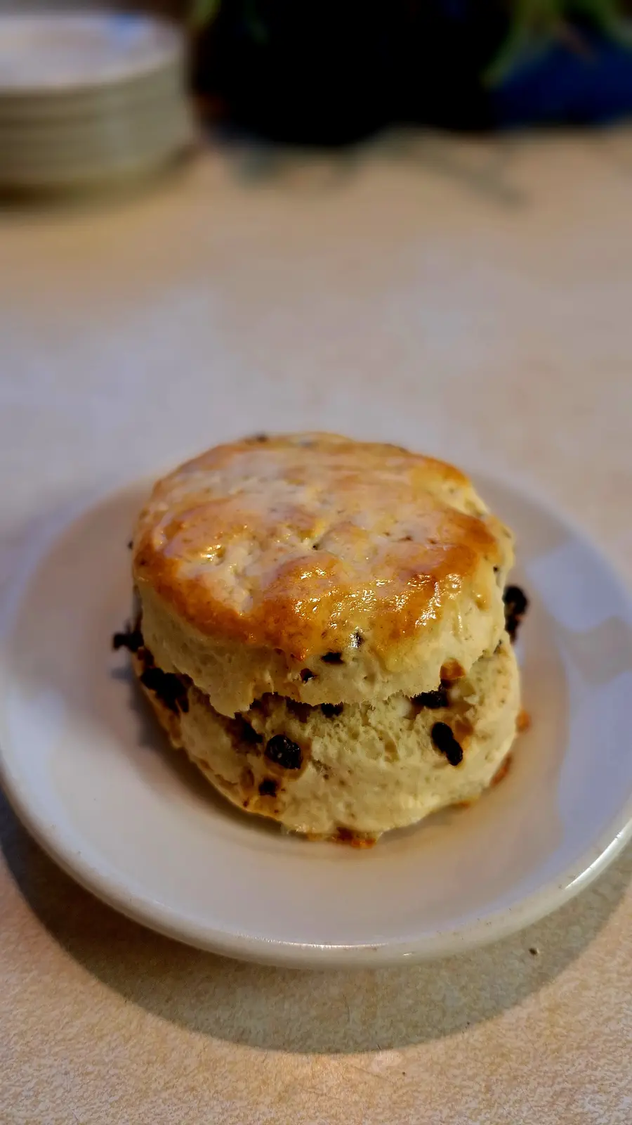Freshly Baked Currant Scone Made by Me