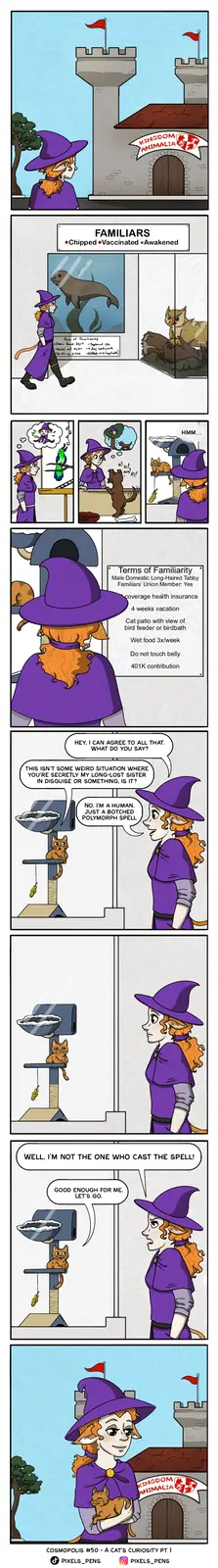 A comic strip shows a witch visiting a pet store called 'Kingdom Animalia' to adopt a familiar. She browses options like…
