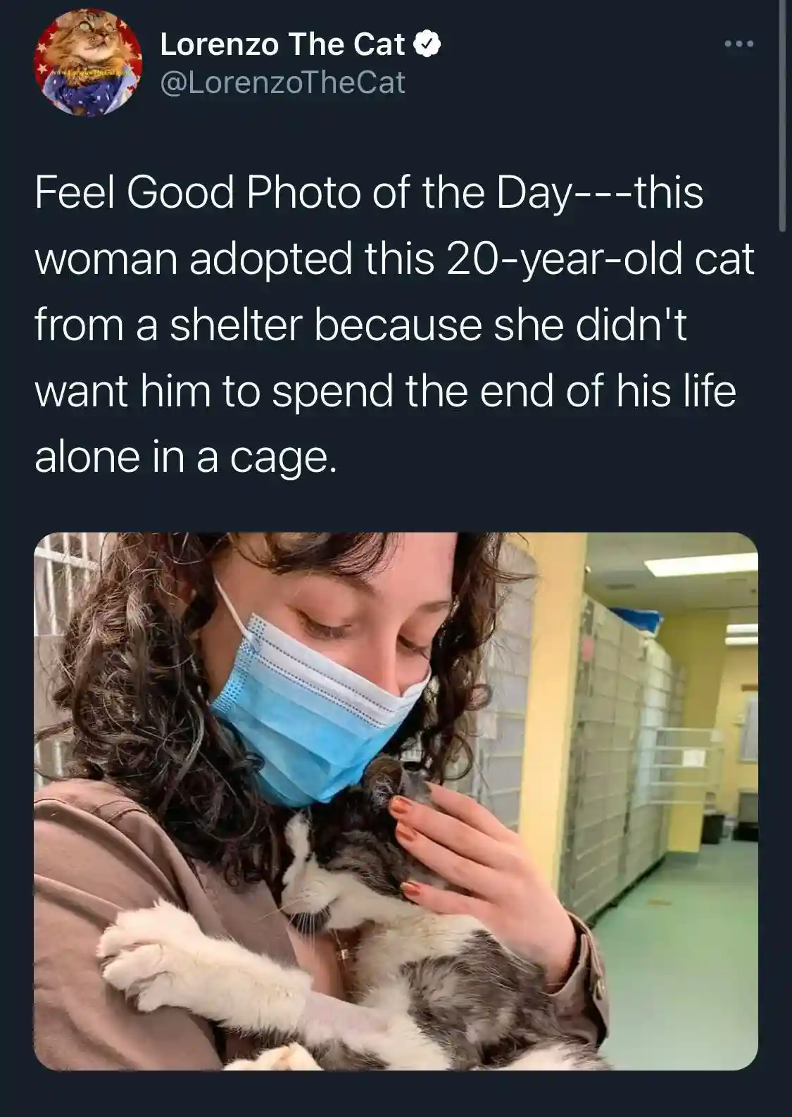A woman wearing a blue surgical mask gently holds a gray and white cat in her arms, petting its head. The background shows…