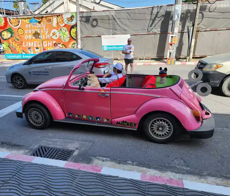Strolling Through Life: Making My Way Downtown