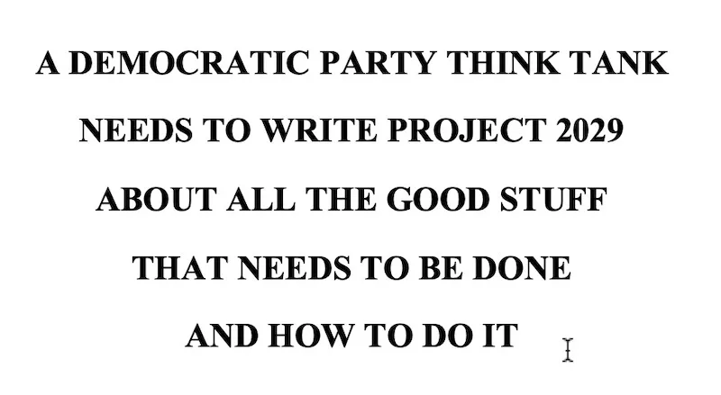 The image is a plain white background with bold, black, centered text that reads: 'A DEMOCRATIC PARTY THINK TANK NEEDS TO…