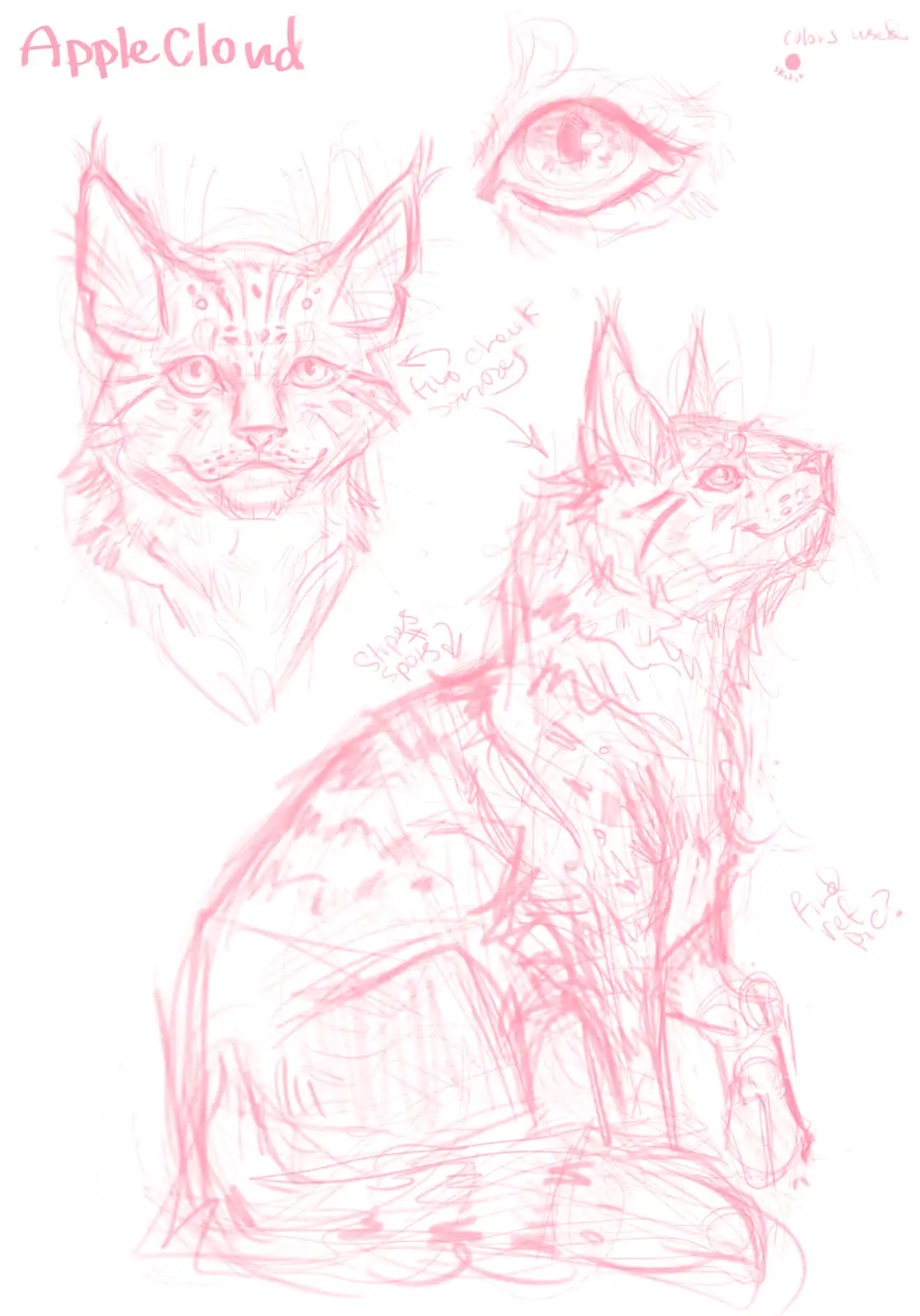 A pink sketch of a cat character named 'AppleCloud' shows multiple views: a full-body sitting pose, a headshot, and a…