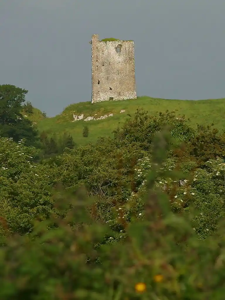 A weathered stone tower stands atop a grassy hill under a gray sky, surrounded by greenery and out-of-focus bushes in the…