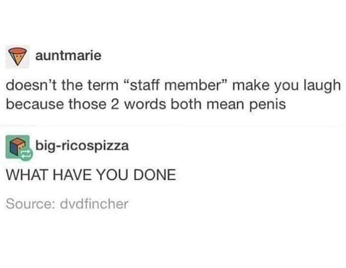 A screenshot of a Reddit comment thread shows user 'auntmarie' suggesting the term 'staff member' is funny because 'staff'…