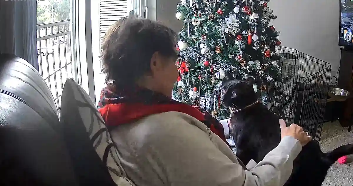 A heartwarming moment between Atticus and my mother-in-law