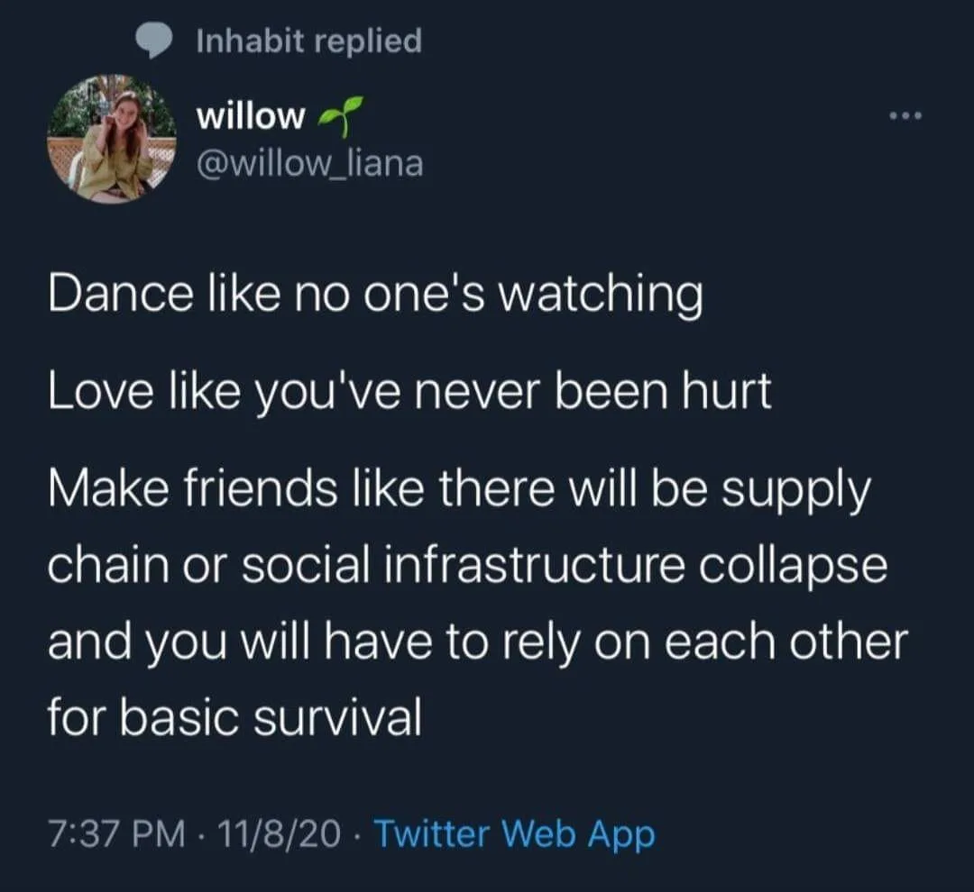 A screenshot of a Twitter reply from user 'willow' (@willow_liana) that humorously rewrites common life advice by adding a…