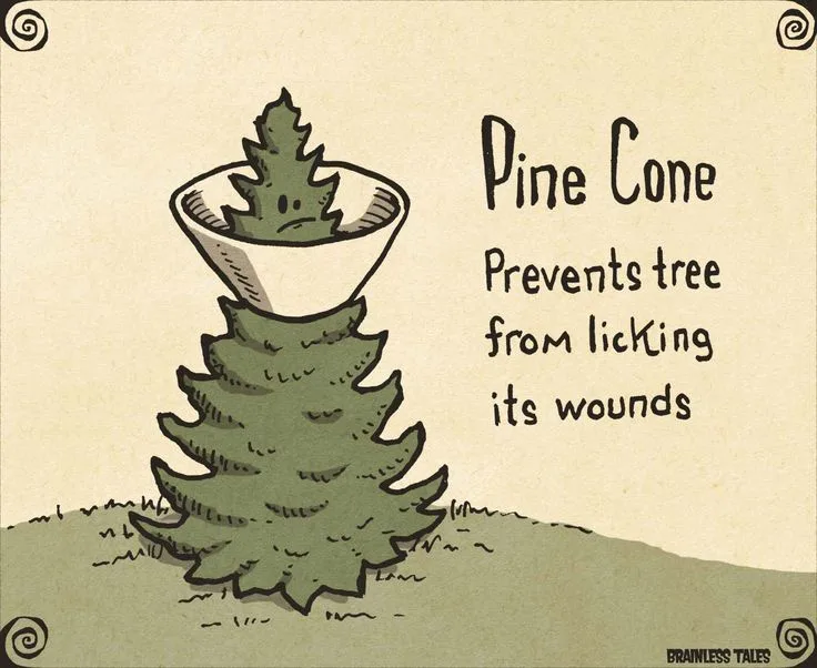 A cartoon drawing of a pine tree with a pine cone sitting on top of its head, looking sad. The pine cone has a face and is…