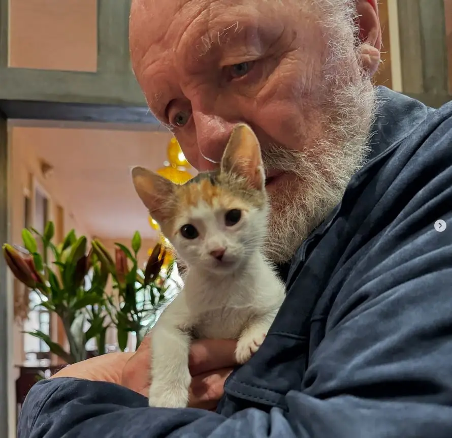 An older man with a white beard and blue shirt is holding a small calico kitten close to his face. The kitten looks directly…
