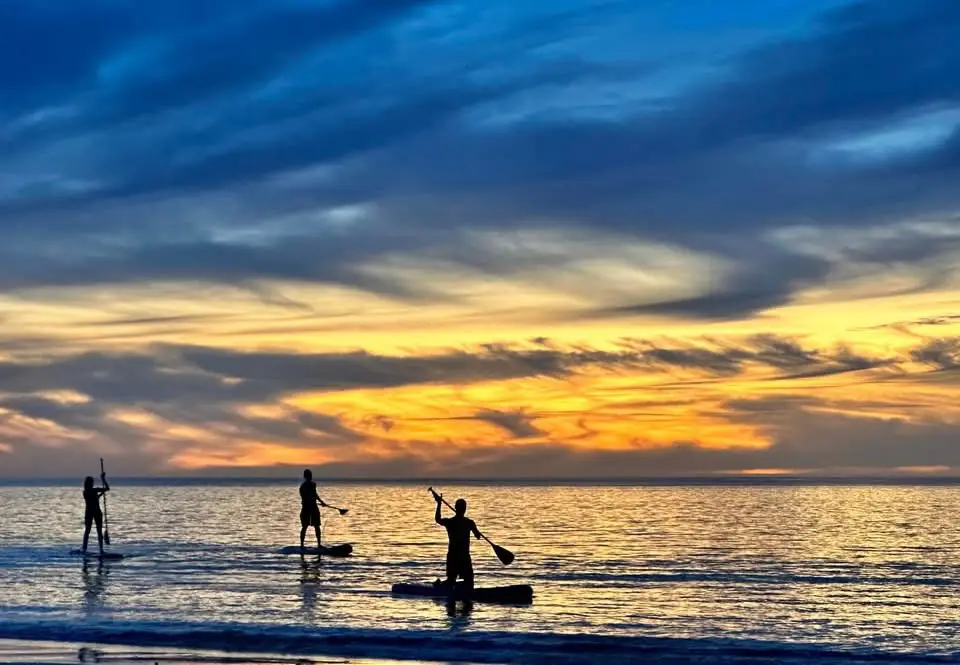 Paddle Boarding Adventures Await!