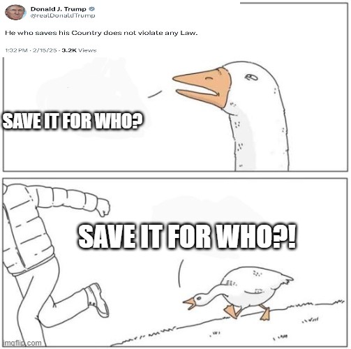 A two-panel meme featuring a goose. In the top panel, a goose looks forward with the text 'SAVE IT FOR WHO?'. In the bottom…