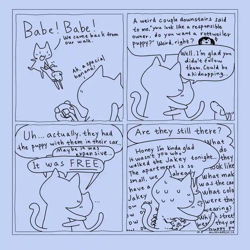 A four-panel comic strip featuring two cats and a small dog. In the first panel, one cat excitedly returns from a walk with…
