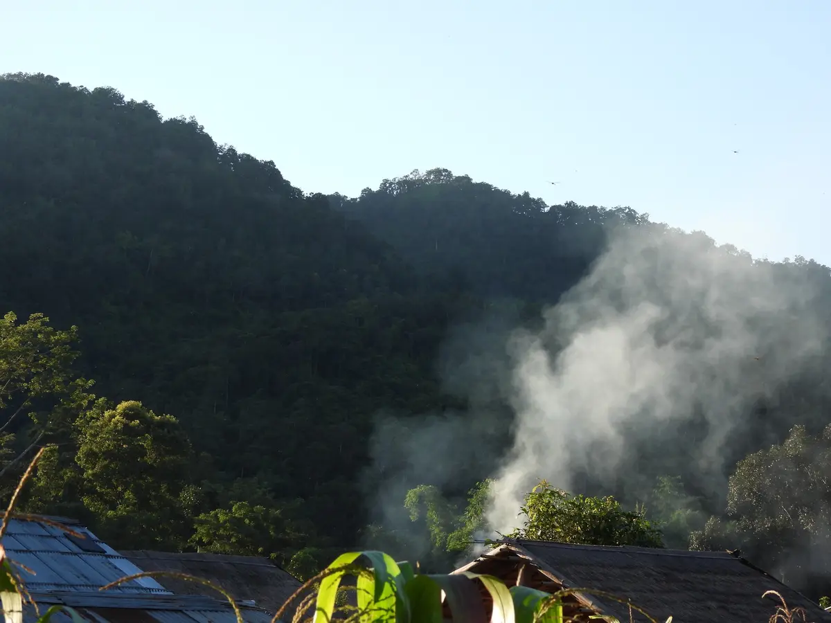A scenic view of a forested mountain with a thick plume of white smoke rising from behind some rooftops and trees. The sky…