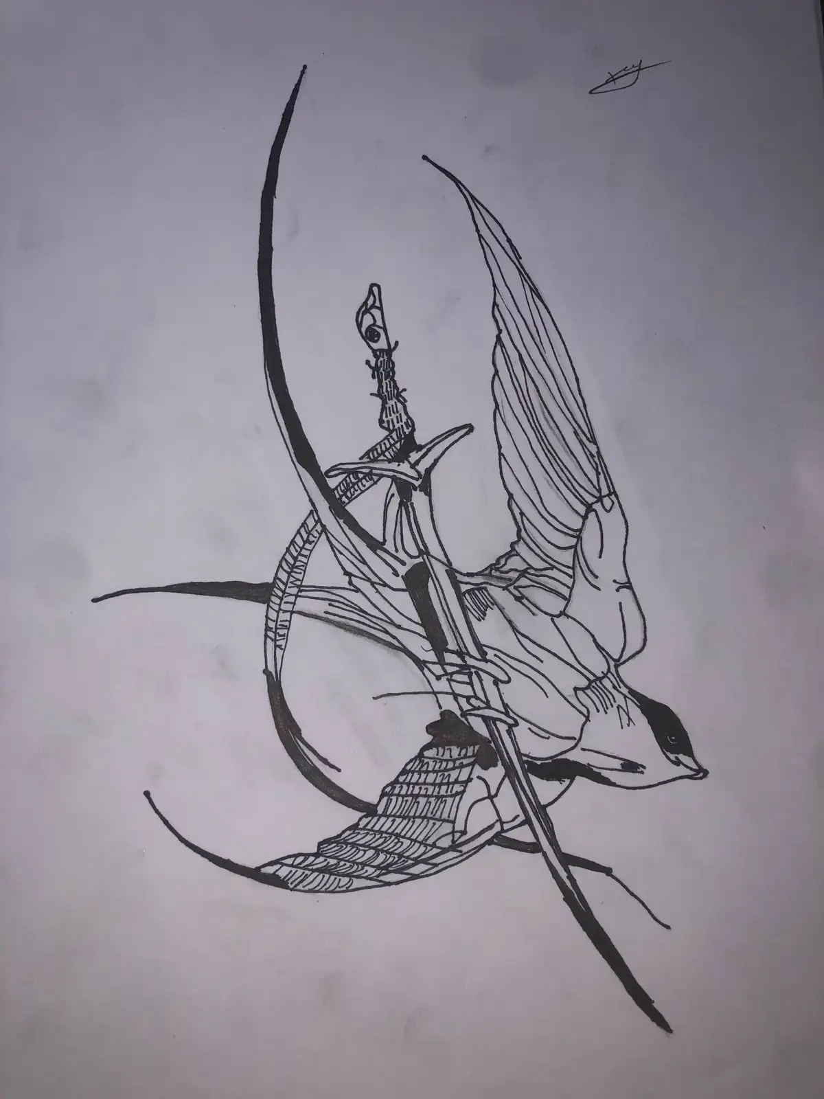 A black-and-white line drawing shows a bird, resembling a swallow or swift, in mid-flight with its wings spread. The bird is…