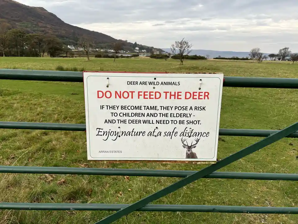 A white sign with black and red text is attached to a green metal gate in a grassy field. The sign warns 'DO NOT FEED THE…