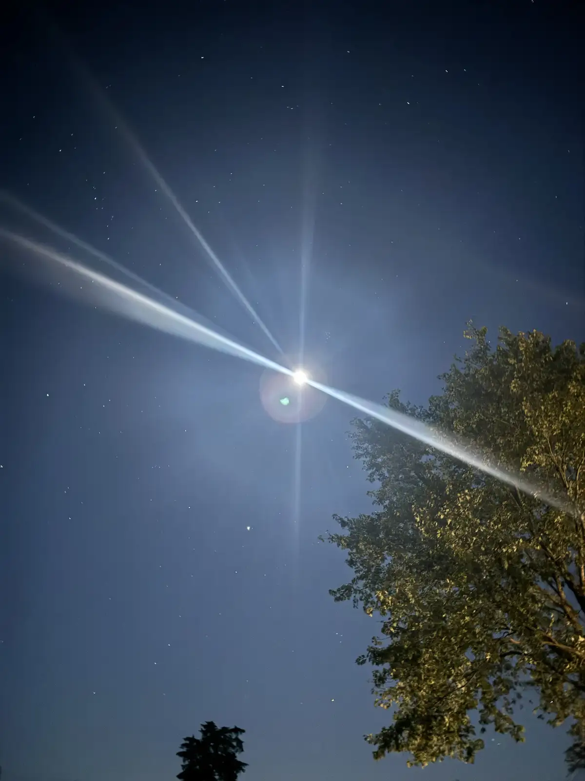 A night sky photo showing a bright star or planet with prominent lens flare rays radiating outward, set against a backdrop…