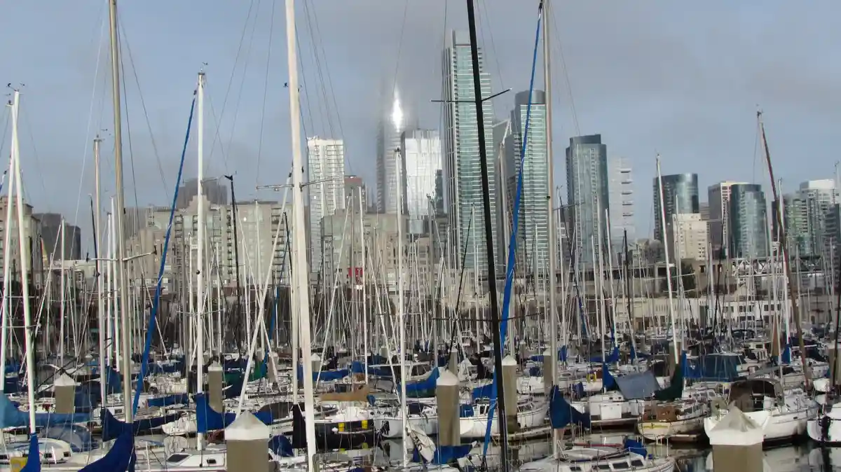 A photo of a dense marina filled with sailboats, their masts creating a forest-like pattern in front of a modern city…