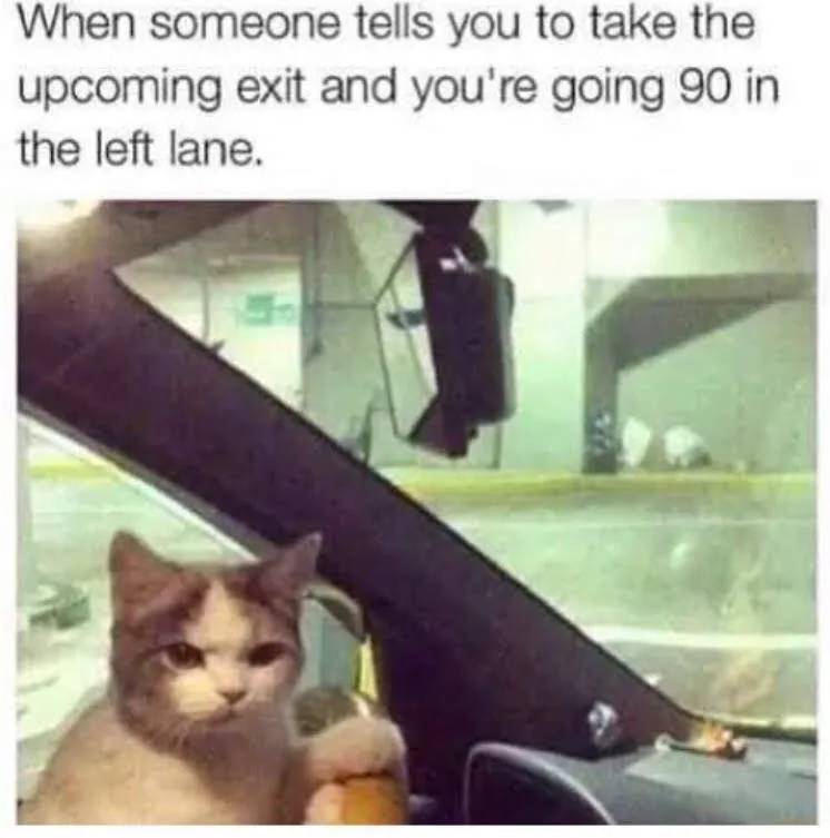 A cat sits in the driver's seat of a car, looking annoyed and unimpressed, with a plush toy in its paw. The overlaid text…