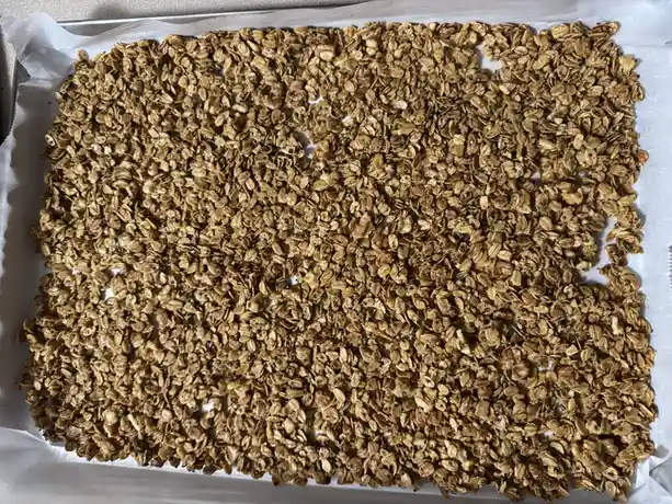A baking sheet lined with parchment paper holds a large, flat, rectangular spread of golden-brown granola clusters, which…