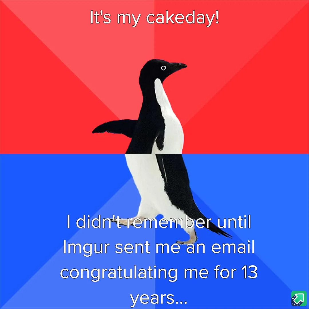 A penguin stands centered against a red and blue background, with white text overlaid. The top text reads 'It's my cakeday!'…