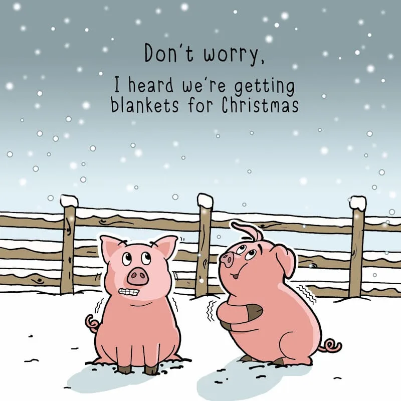 Two cartoon pigs shiver in the snow beside a wooden fence, one looking cold and the other reassuringly holding a small…