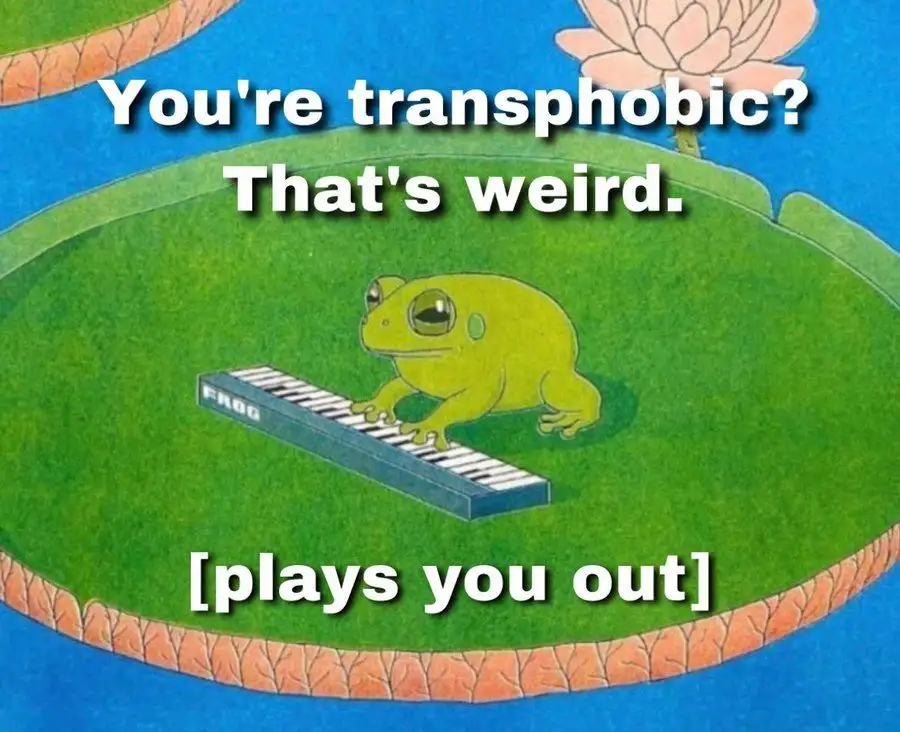 A cartoon frog sits on a lily pad playing a small keyboard labeled 'FROG'. White text overlaid on the image reads 'You're…