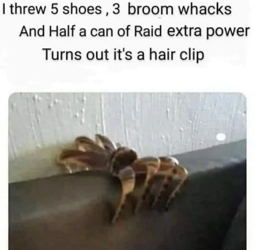A close-up photo shows a large, brown and beige spider with long legs clinging to the edge of a dark surface, possibly a…
