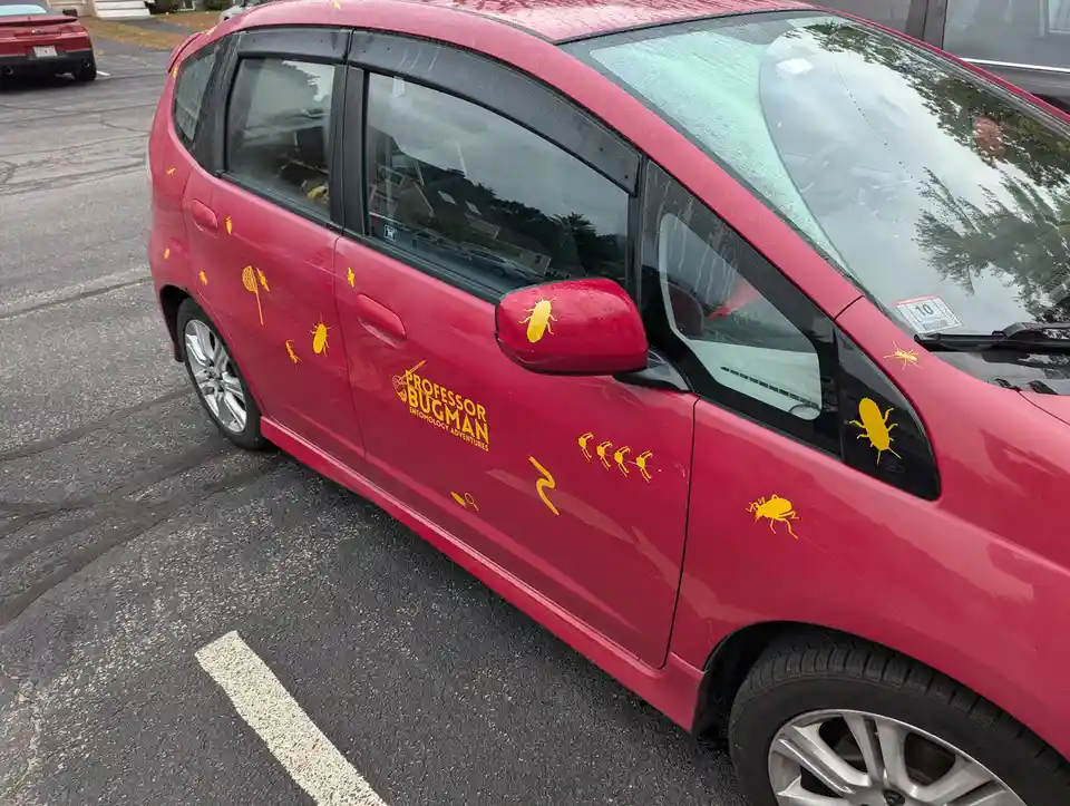 A red car covered in yellow insect decals, including beetles, ants, and a bug net, with the text 'PROFESSOR BUGMAN…