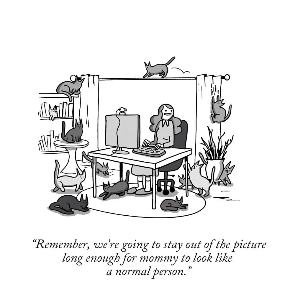 A black-and-white cartoon shows a woman sitting at a desk with a computer, surrounded by numerous cats in various positions…
