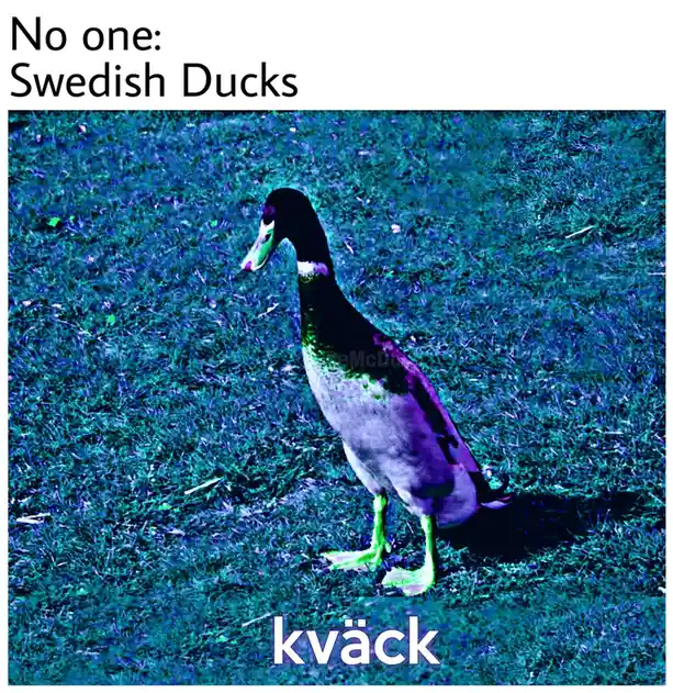 A duck stands on grass with a heavily saturated blue and purple color filter applied. Text at the top reads 'No one: Swedish…