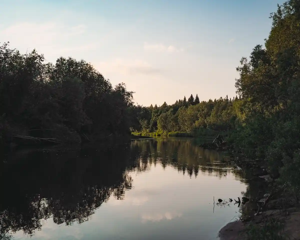 A serene landscape photo of a calm river flanked by dense green trees under a soft sky, with the text 'i'm not lazy, i'm in…