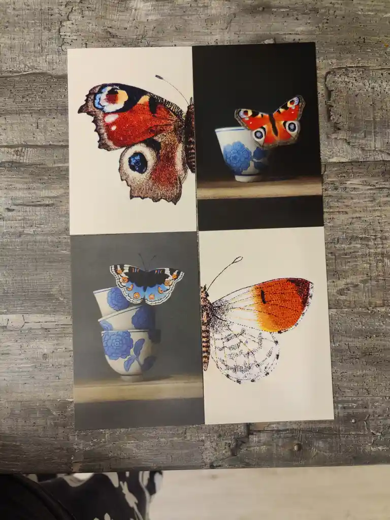 Four postcards arranged in a grid on a wooden surface, each featuring a different butterfly image: a close-up of a peacock…