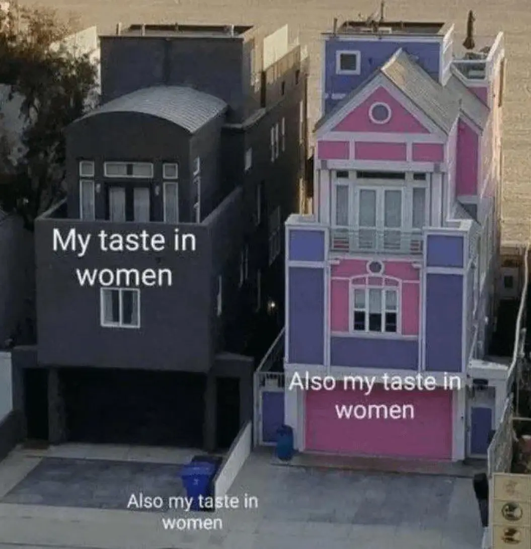 An aerial photo shows three adjacent houses, each labeled with the phrase 'My taste in women' in white text. The leftmost…