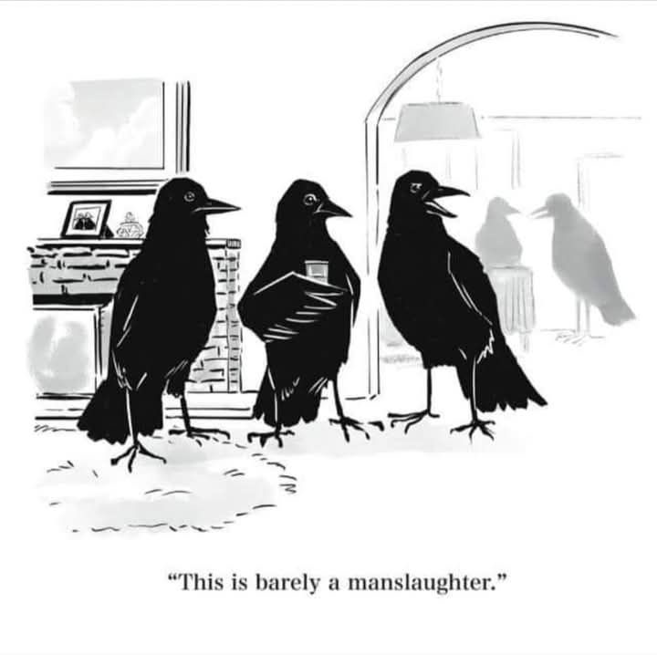 A black-and-white cartoon depicts three crows in a living room. One crow holds a small box, another looks on, and the third…