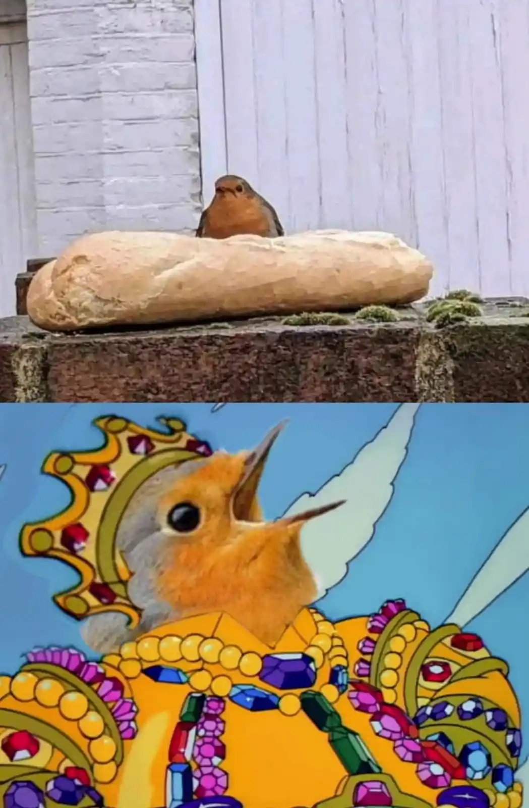 The top panel shows a real European robin perched atop a loaf of bread on a stone ledge against a white brick wall. The…
