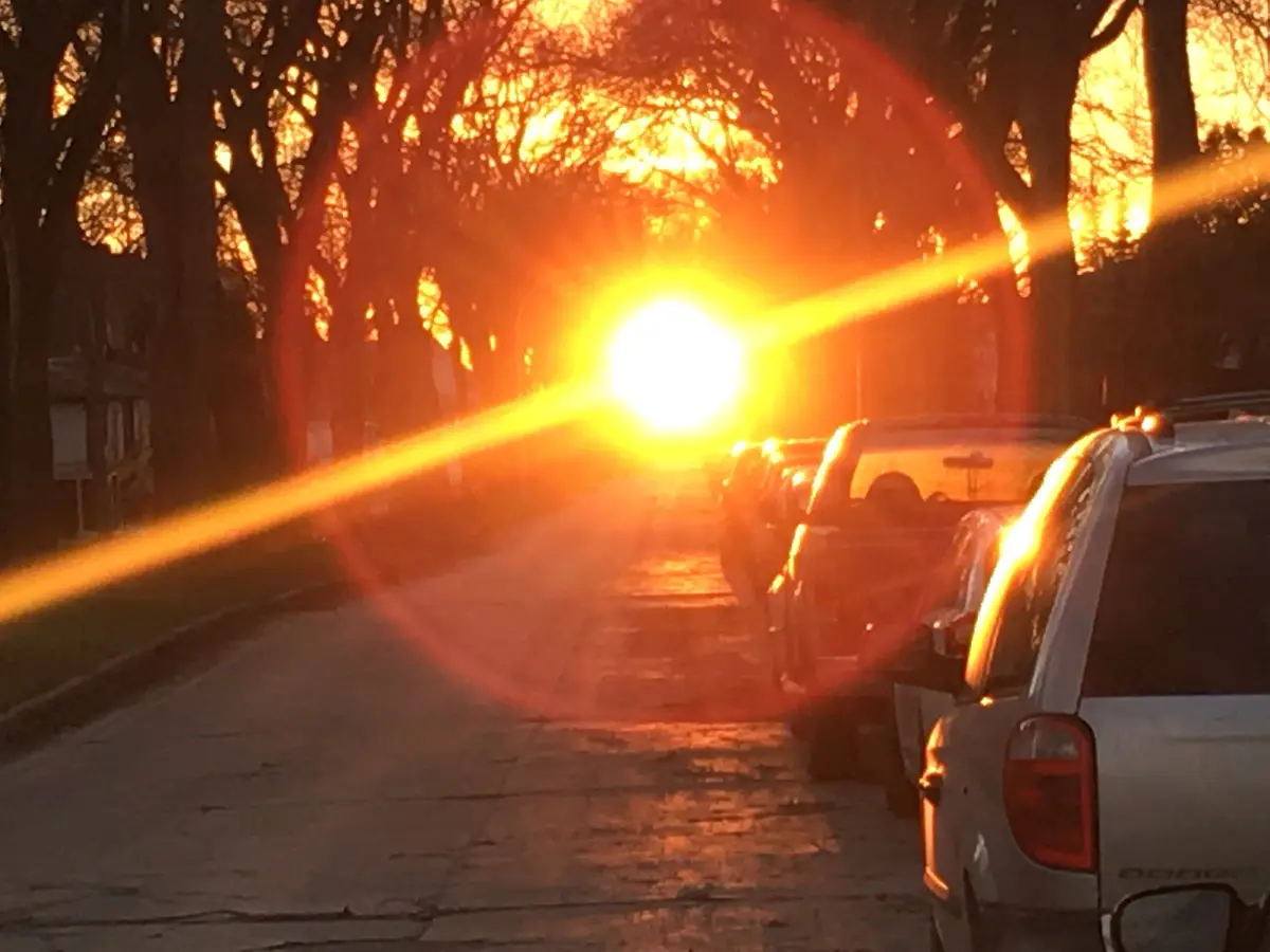 A street lined with parked cars and bare trees at sunset, with the sun low on the horizon creating a bright, starburst lens…
