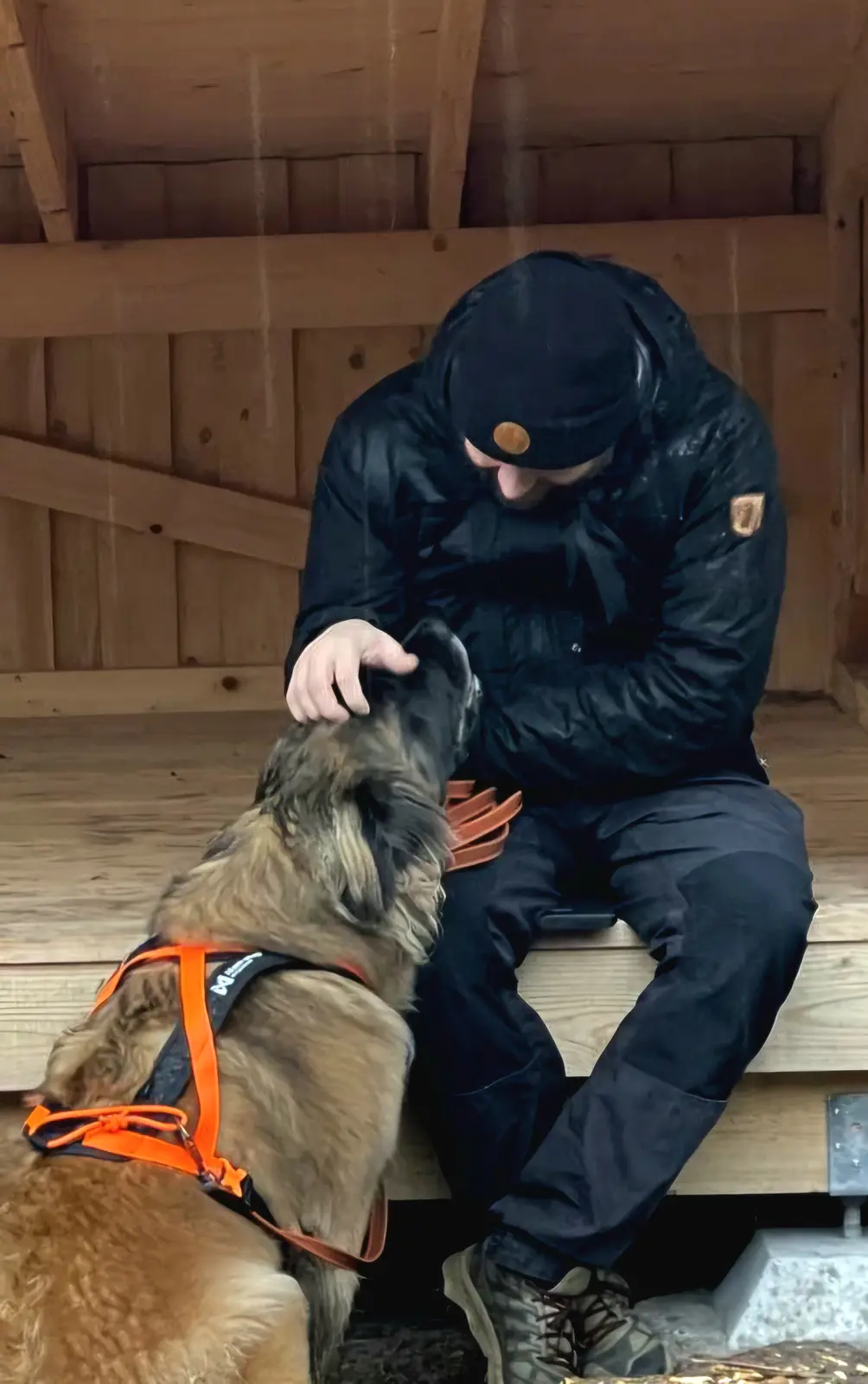 A person in dark outdoor gear sits on wooden steps inside a wooden structure, petting a large, fluffy dog wearing an orange…