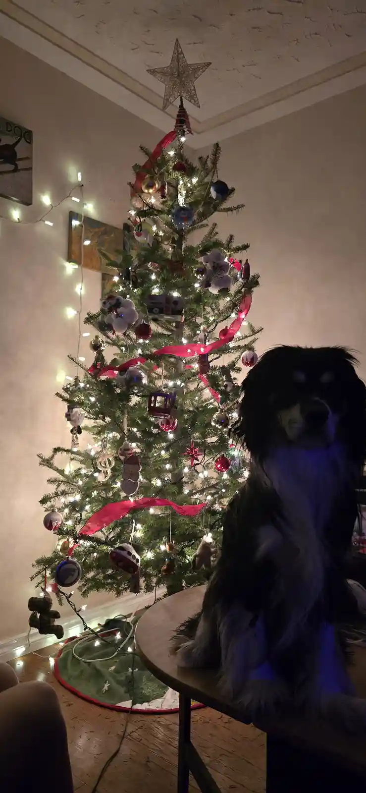 Murray Crimmas, Fellow Imgurians!